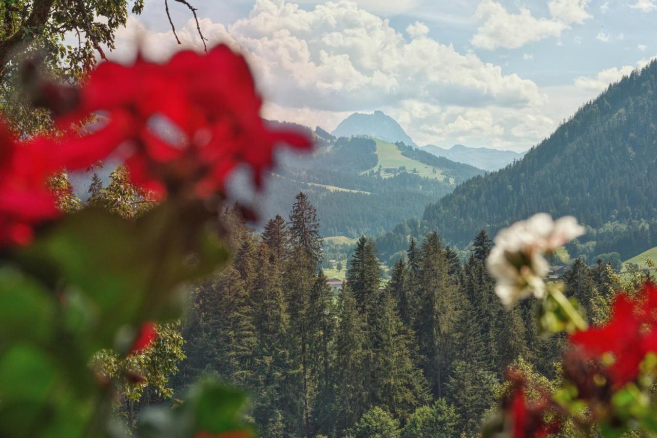 Apartment Wachinghof Reith bei Kitzbühel Kültér fotó