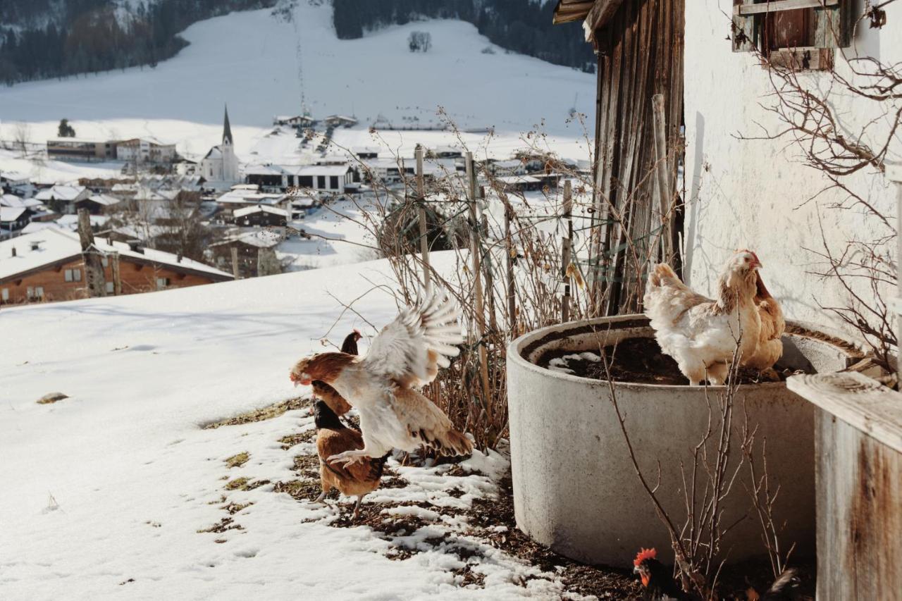Apartment Wachinghof Reith bei Kitzbühel Kültér fotó